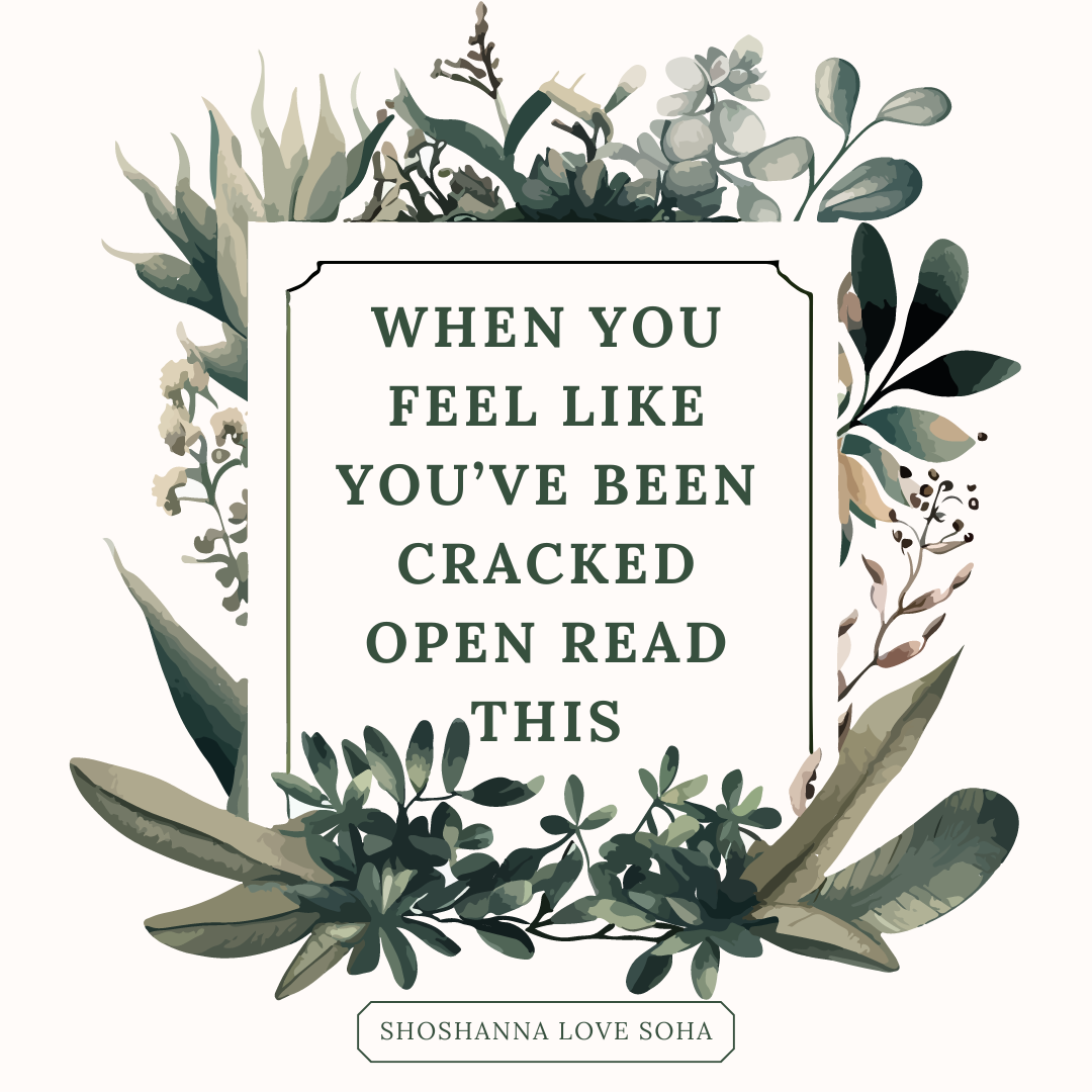 Healing Meditation: When You Feel Like You Have Been Cracked Open Read This